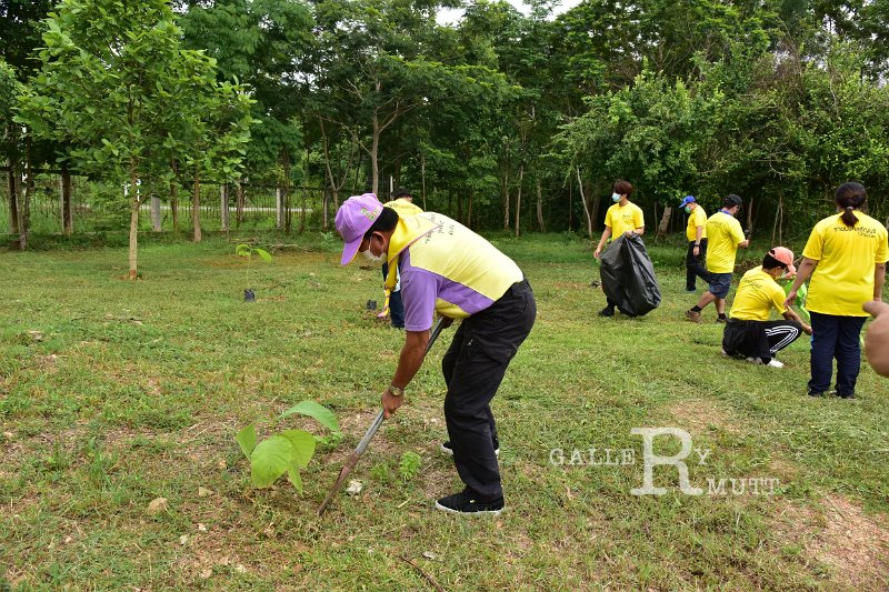 20210526-Tree planting dayt-148.JPG